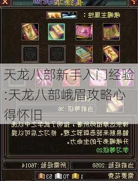 天龙八部新手入门经验:天龙八部峨眉攻略心得怀旧